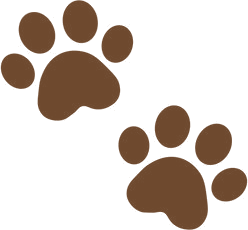 ElitePawsworld Logo
